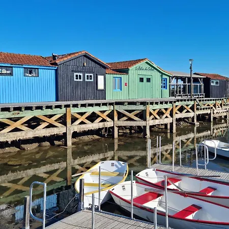 3 Bedroom Amazing In Royan