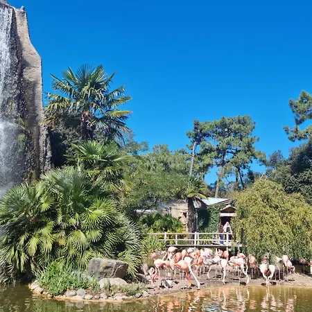 3 Bedroom Amazing In Casa vacanze